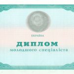 Диплом младшего специалиста любого ВУЗа Украины 2000-2013 г.г. - фото 8