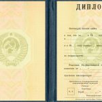 Диплом специалиста любого института РСФСР. Бланки 1976-1992 г.г. - фото 2