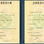 Диплом специалиста любого института СССР. Бланки 1976-1992 г.г. - фото 2
