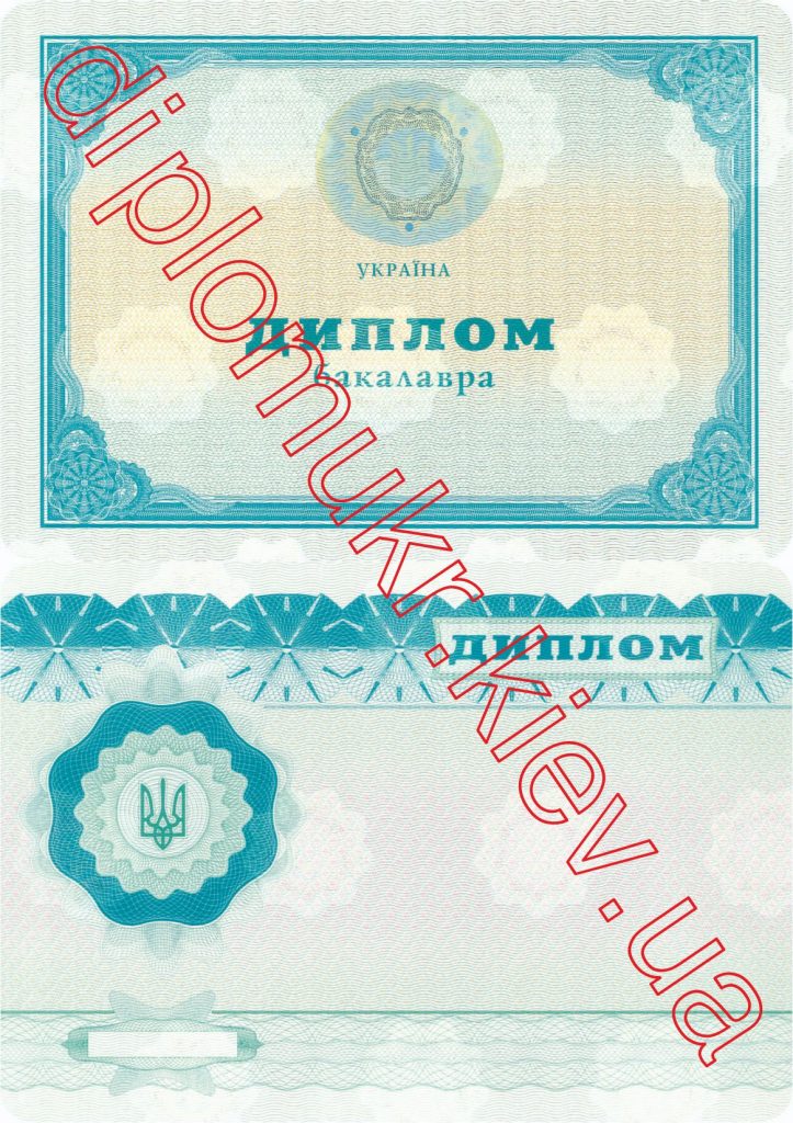 Диплом бакалавра 2005-2010 - фото 1