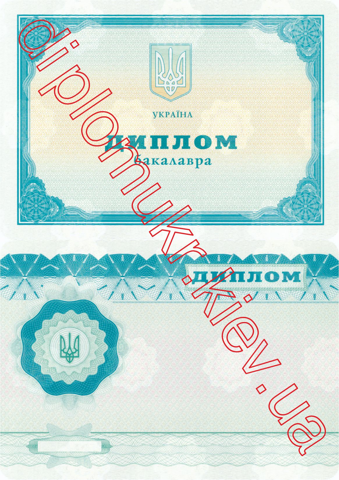 Диплом бакалавра 2011-2013