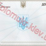 -Довідка про несудимість 0
