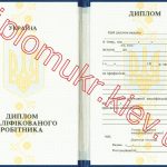 Диплом ПТУ 1993-2000 - фото 2