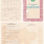 -Державний акт на право приватної власності на землю 1999 – 2008 рр. 0