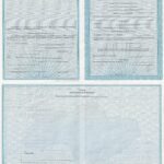 -Государственный акт на право собственности на земельный участок 2009 год 0